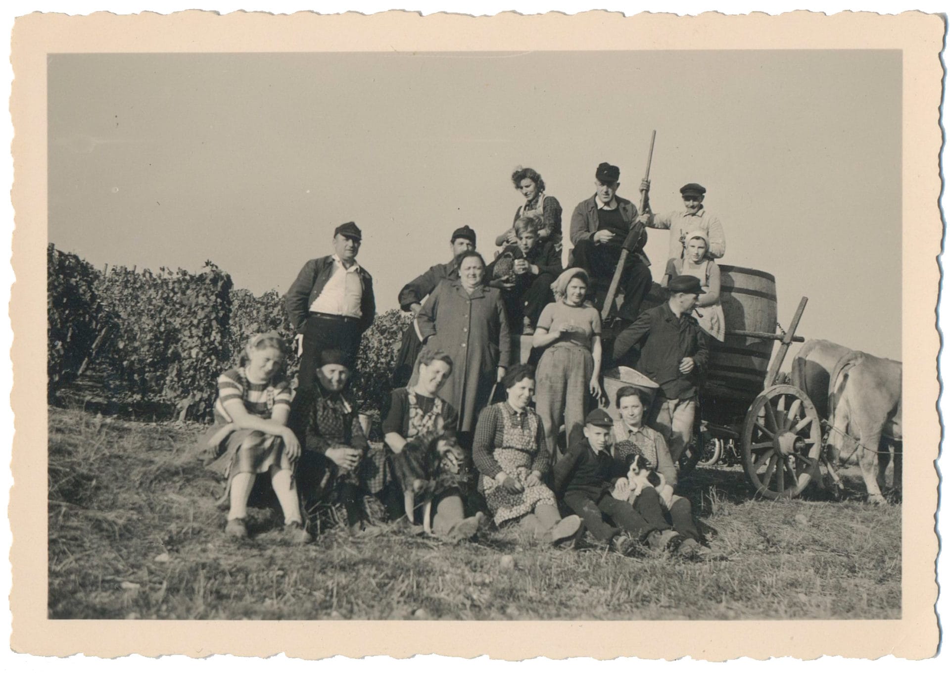 Altes Schwarzweißfoto einer Familie an einem Weinberg vor einem Ochsenkarren. Mehrere Generationen Frauen und Männer sind zu sehen.
